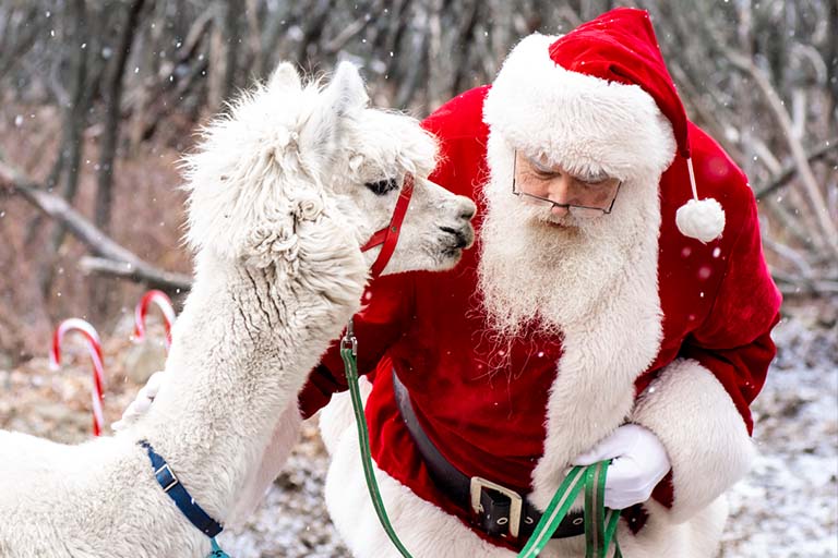 Balade jour Le Père Noëll sera à la ferme. Vérifier les dates :)