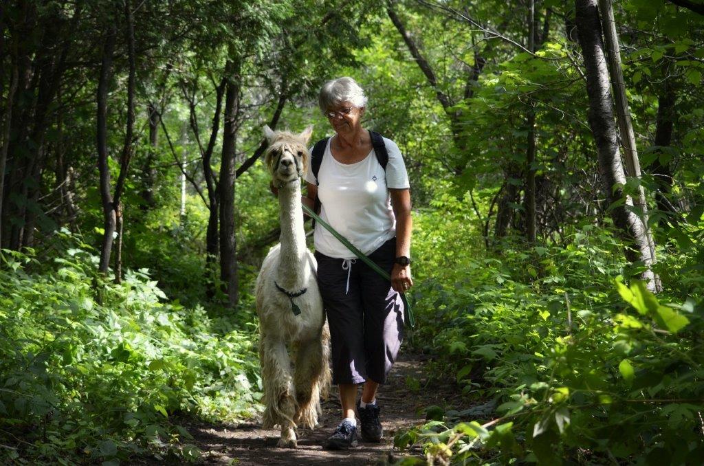 alpagasdudomainepoissant_balade_quebec1