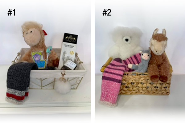 panniers-cadeaux Concours Expo Agricole de Saint-Hyacinthe - Panier cadeau