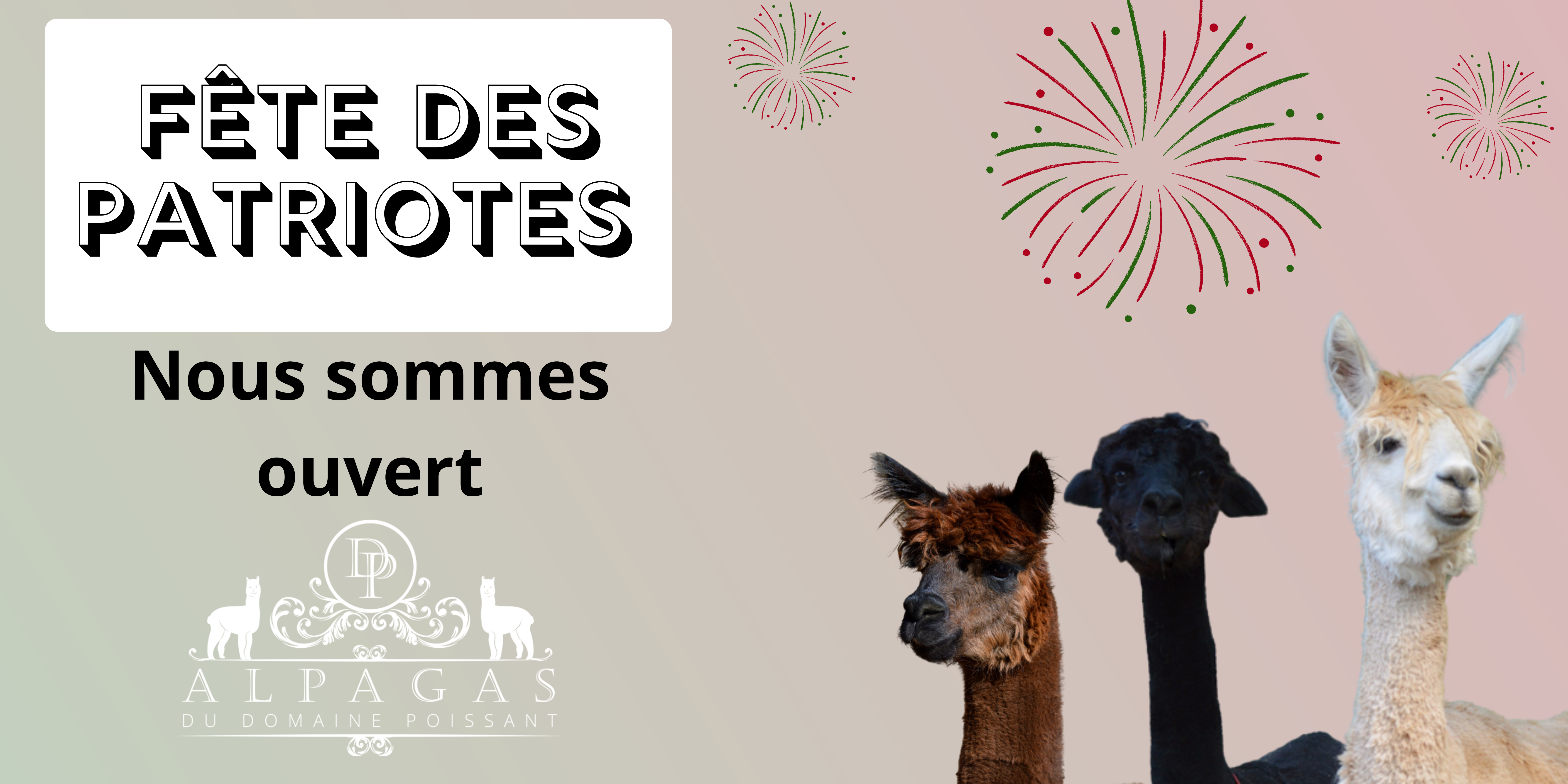 Alpagas du Domaine Poissant Alpagas du Domaine Poissant